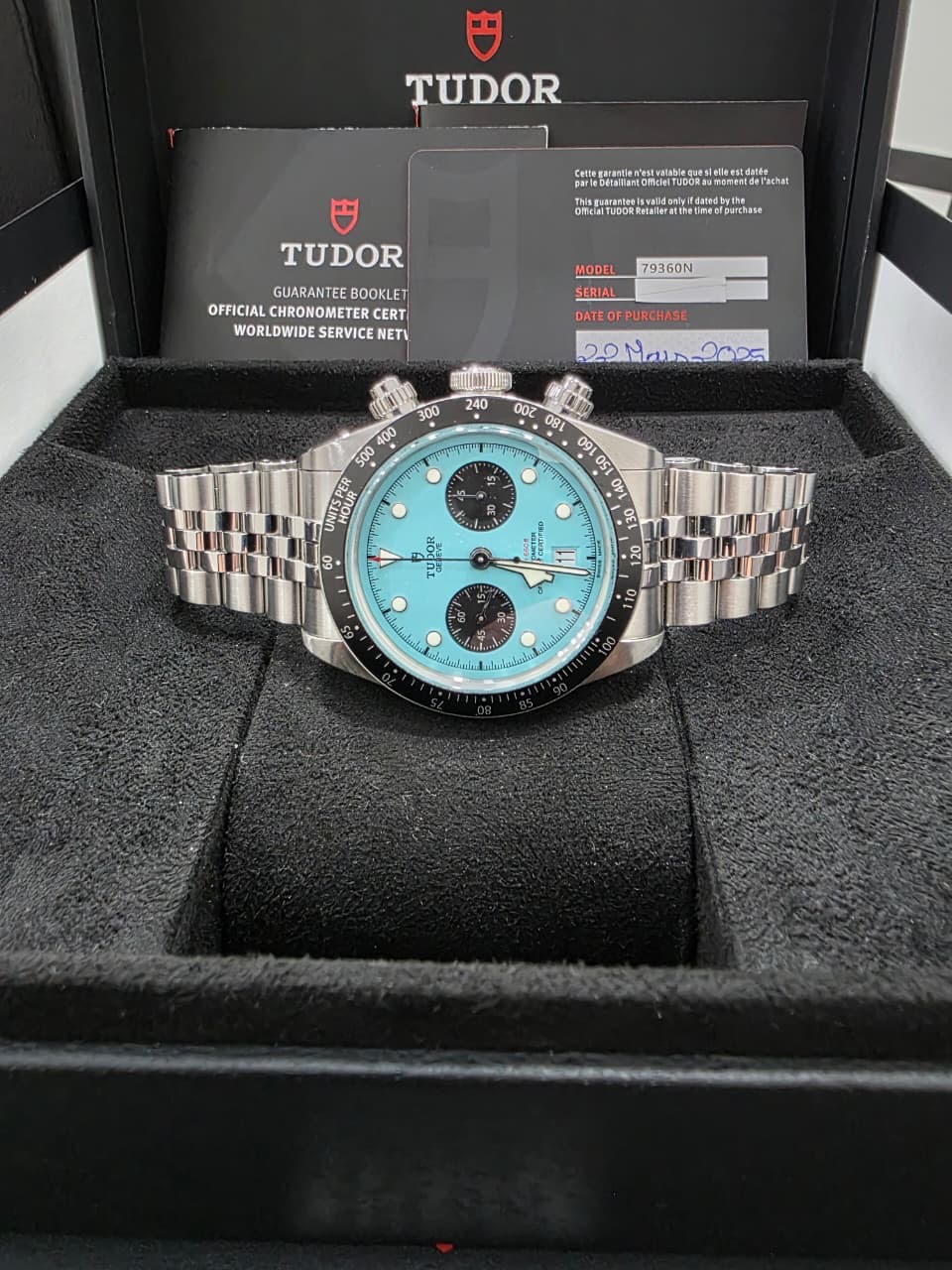 Tudor Black Bay Flamingo