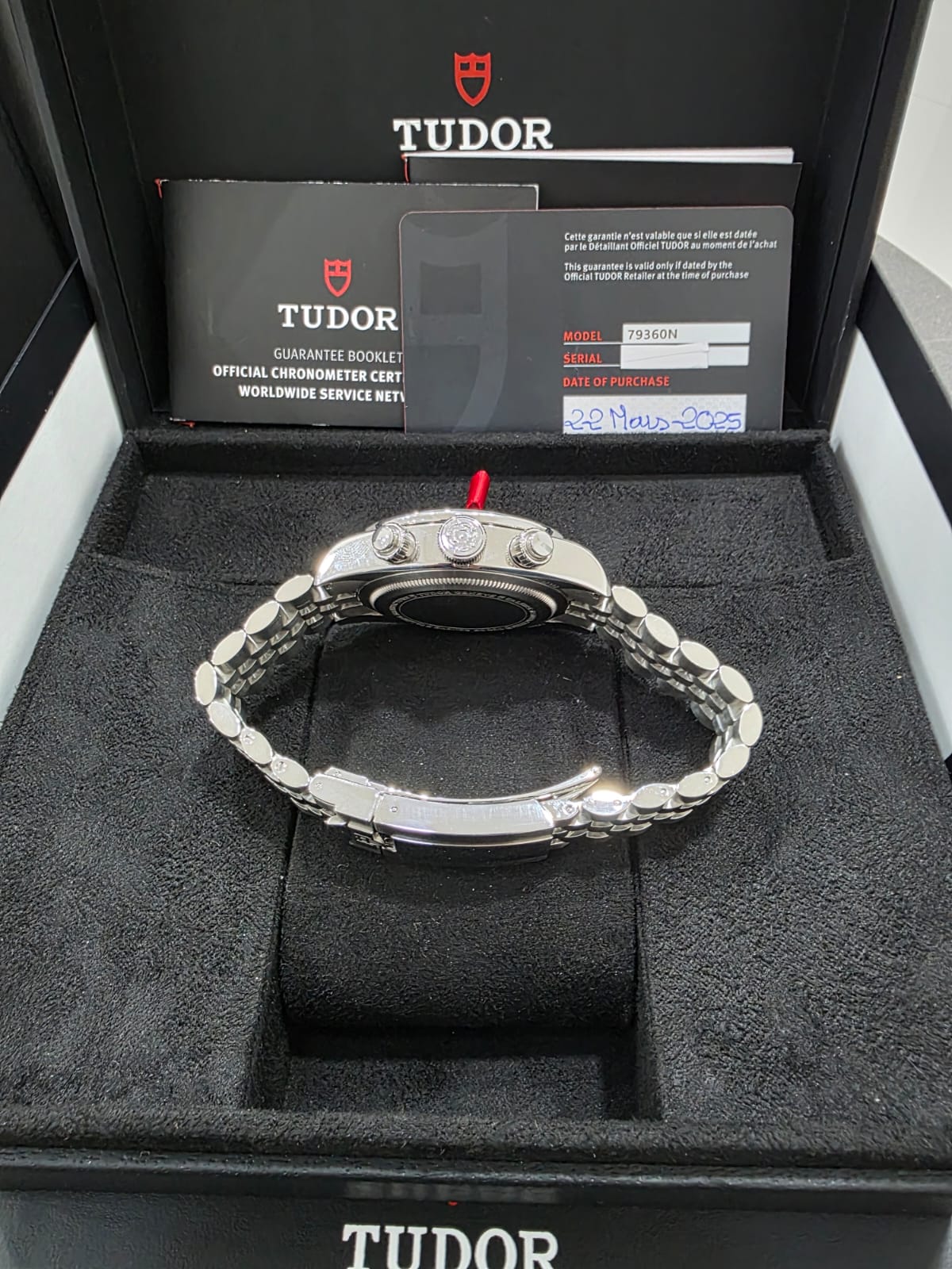 Tudor Black Bay Flamingo