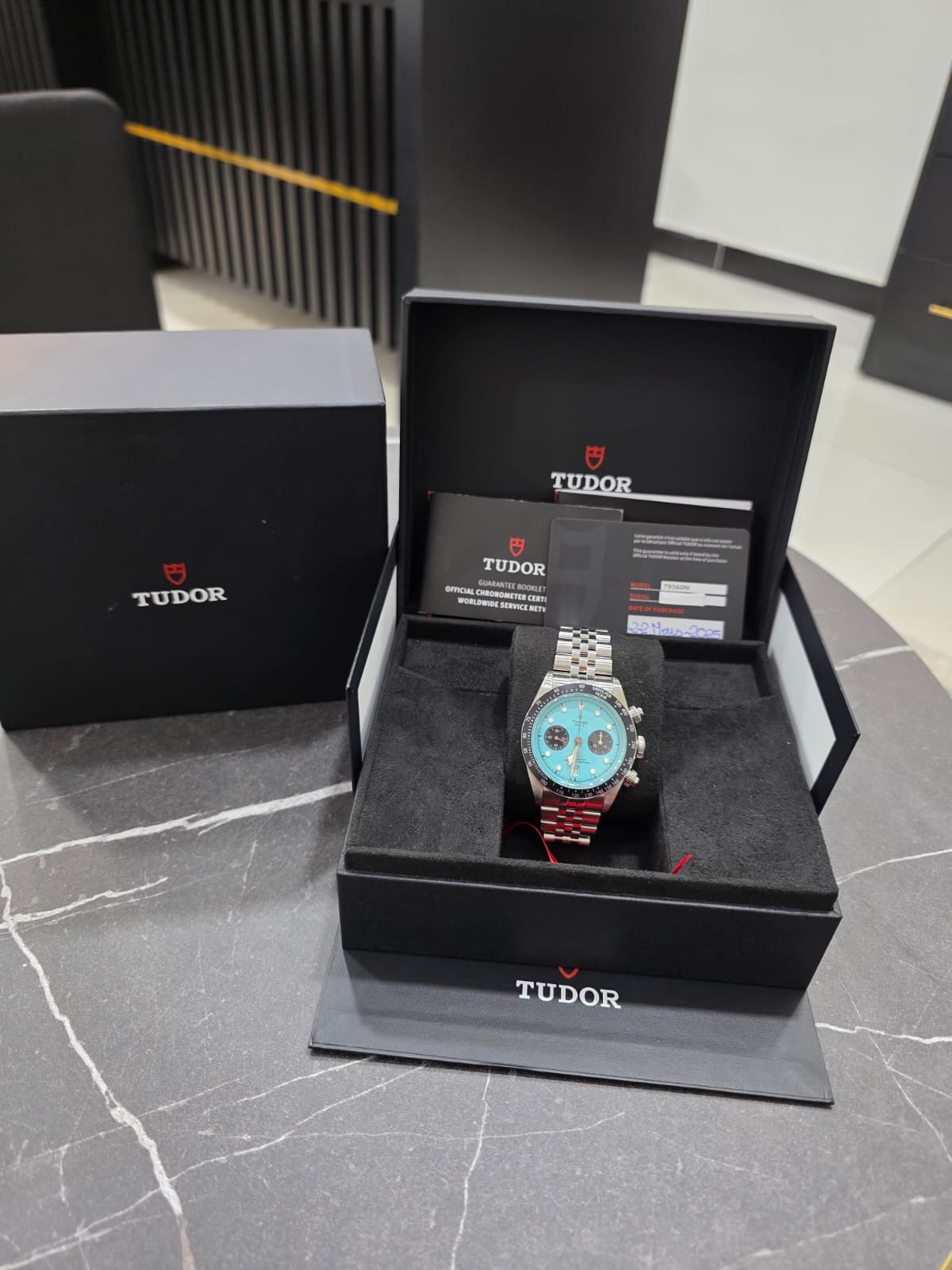 Tudor Black Bay Flamingo