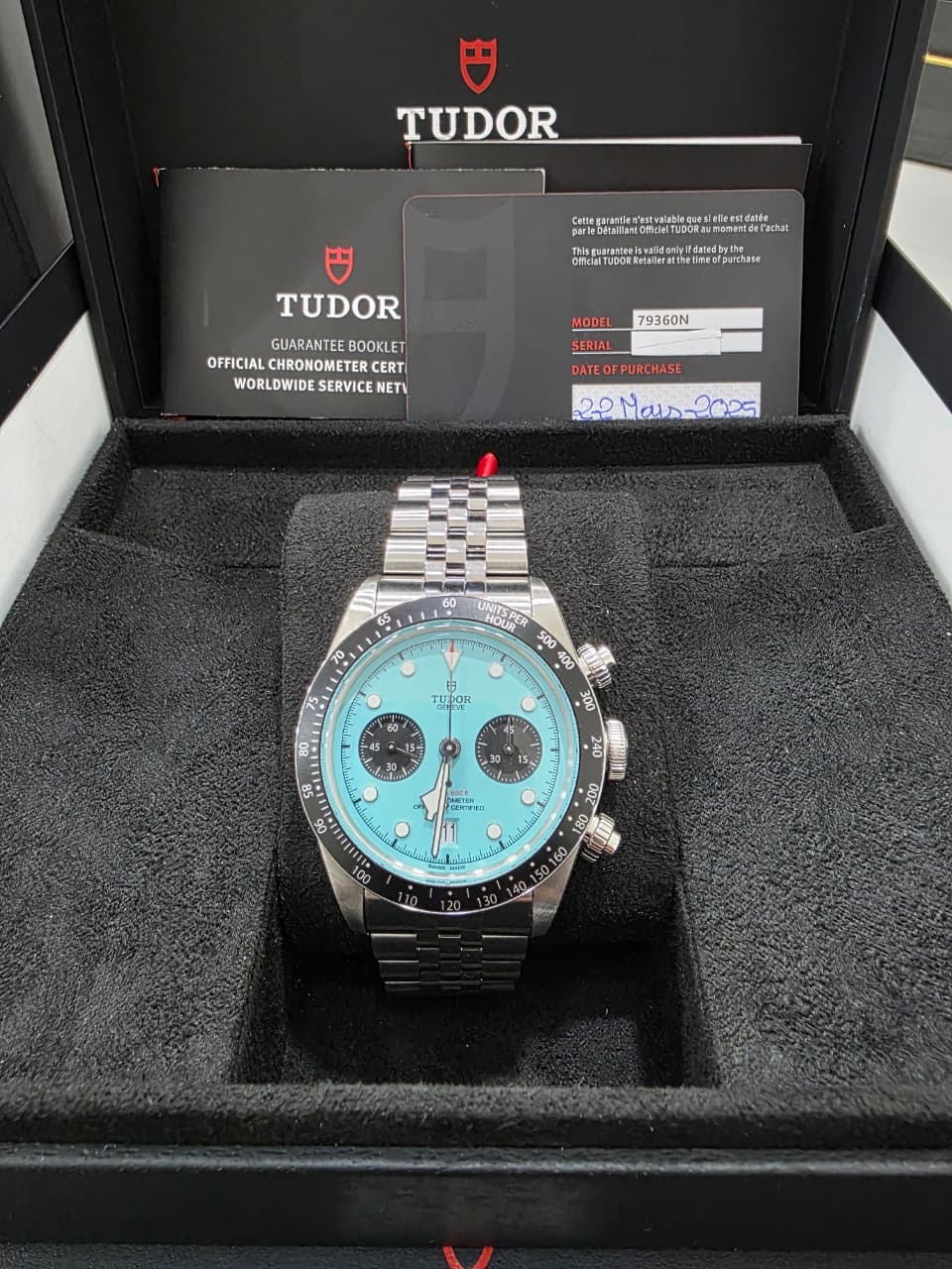 Tudor Black Bay Flamingo